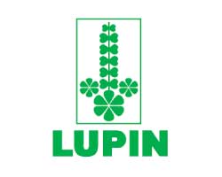 lupin